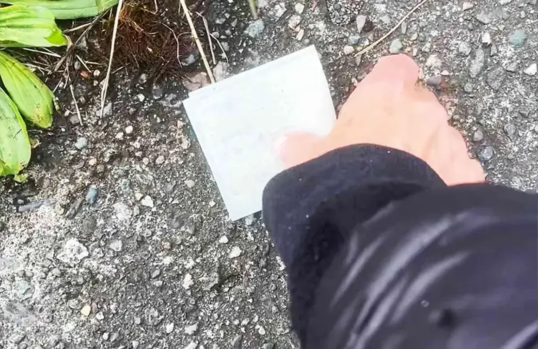 Woman Returns Lost Paycheck Woman Returns Lost Paycheck